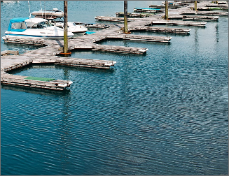 Marina with Empty Slips